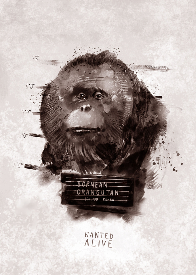 Bornean orangutan