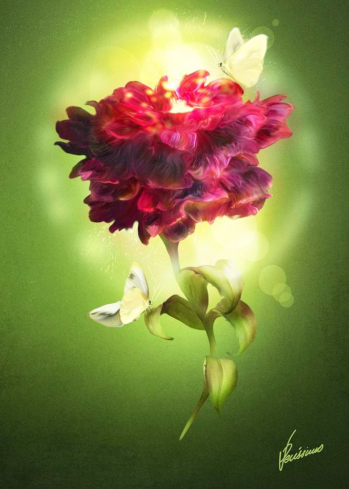 Spring Flower