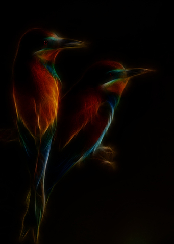 Macau Bird