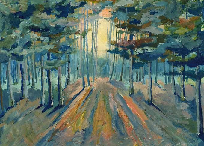 Winter Forest