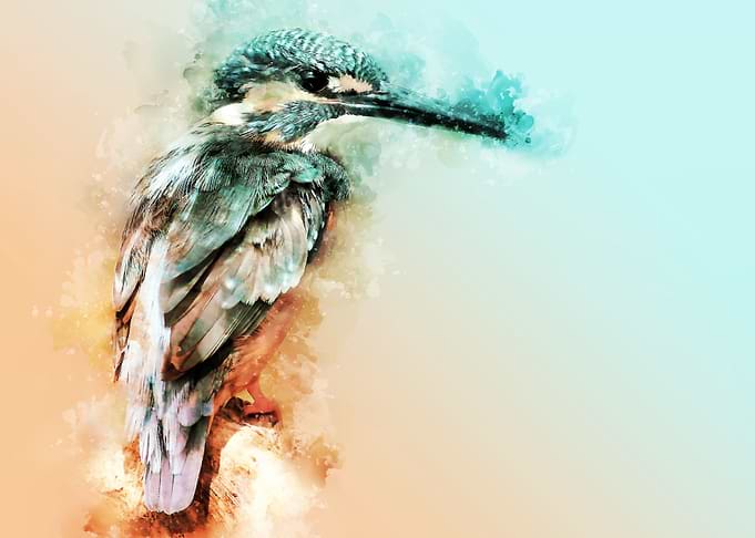 Hummingbird