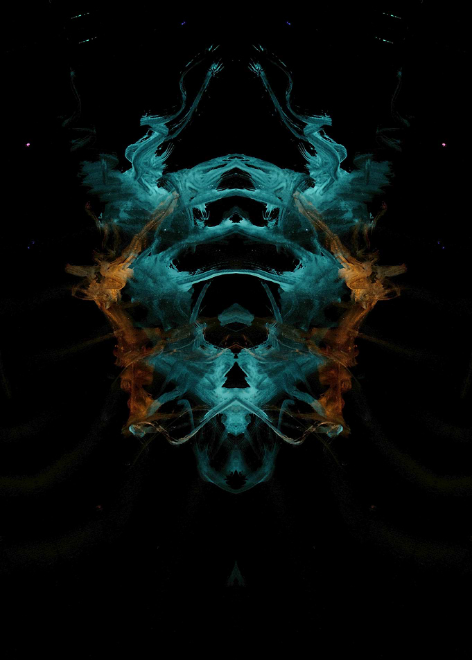 Insect