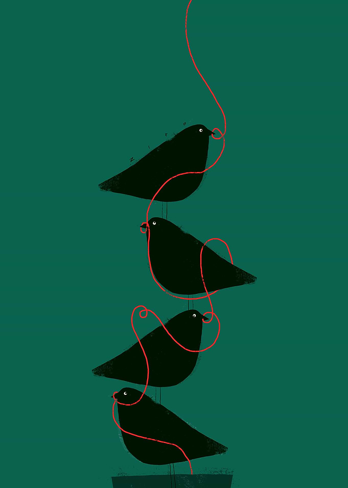 Birds and red rope