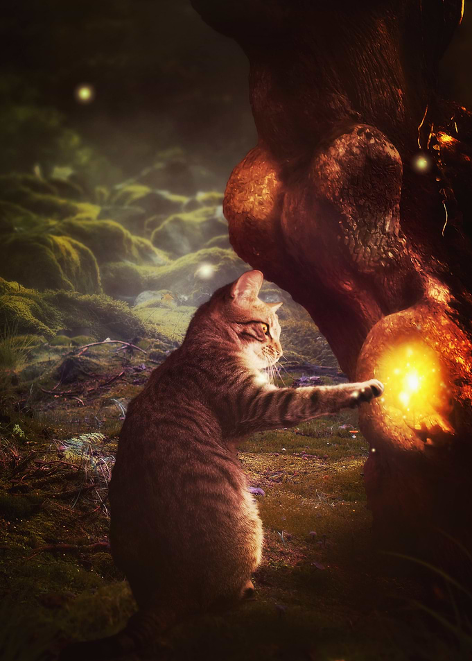 Magic Cat