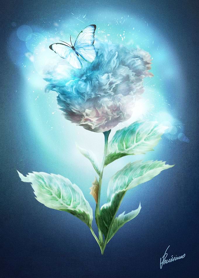 Winter Flower