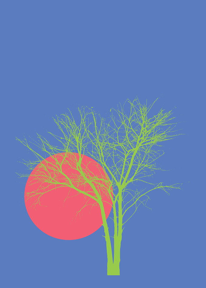 Tree and Sun Scene