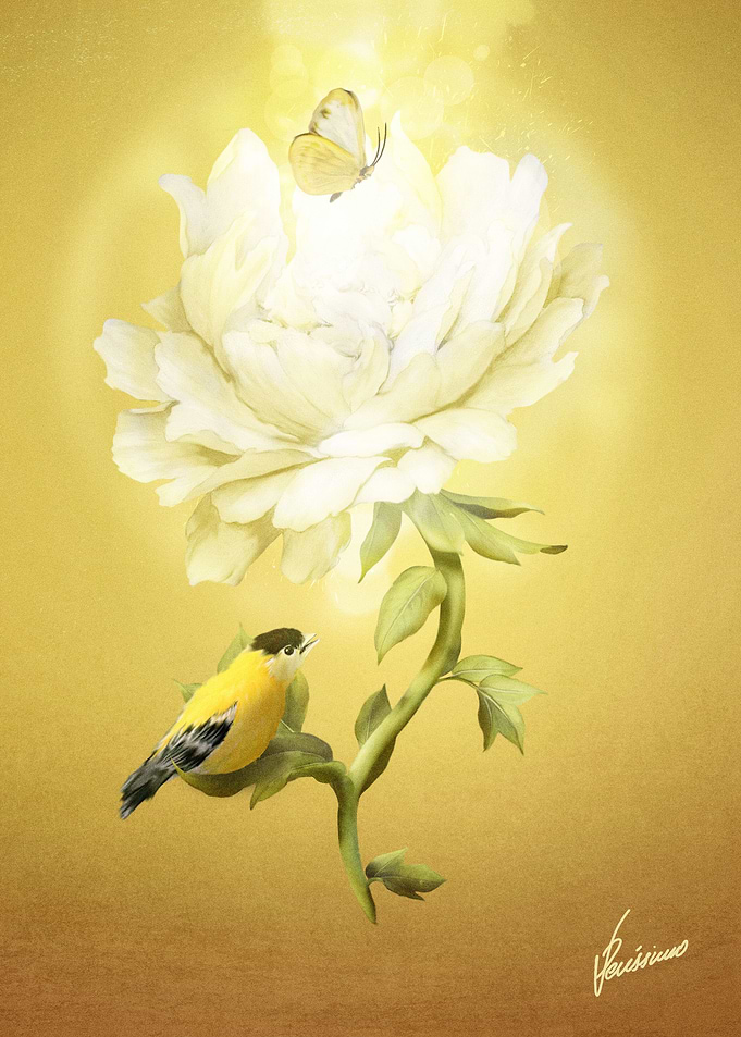 Summer Flower