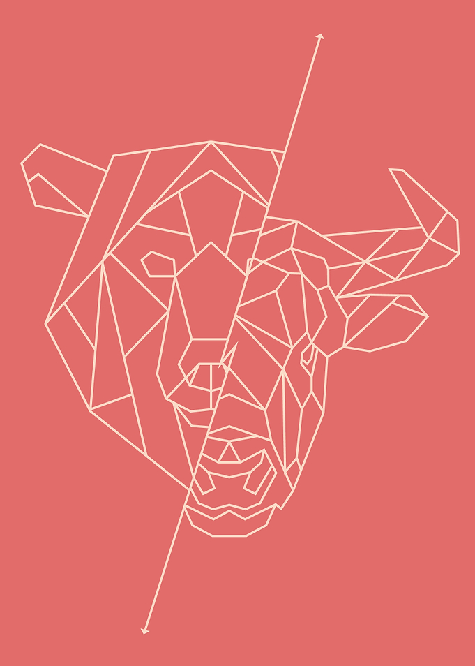 Stock Market Bear and Bull