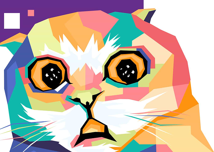 surprised cat pop art