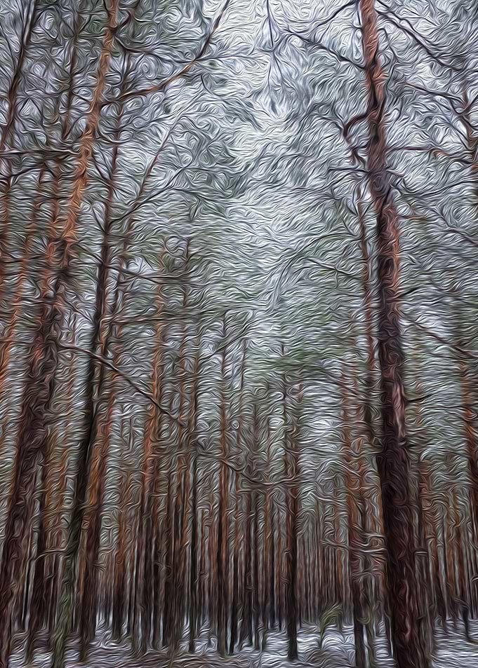 Trees