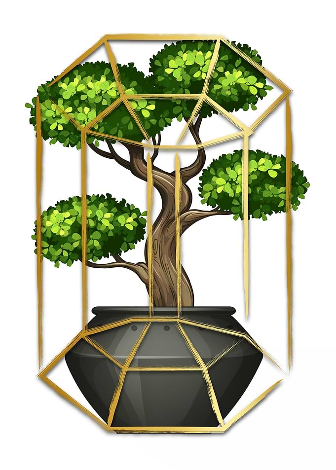 plants 3