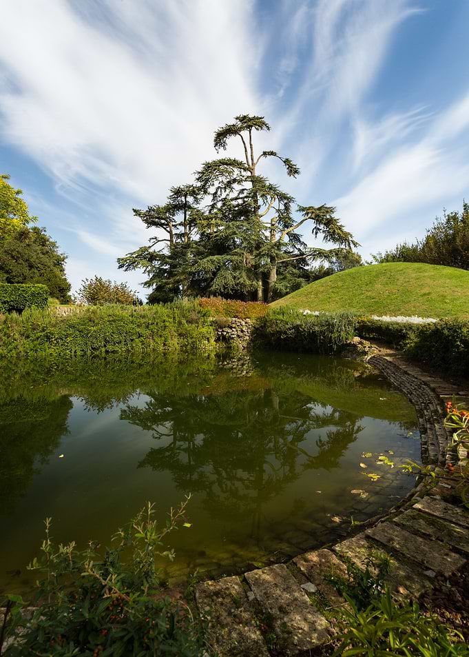 Lovely garden