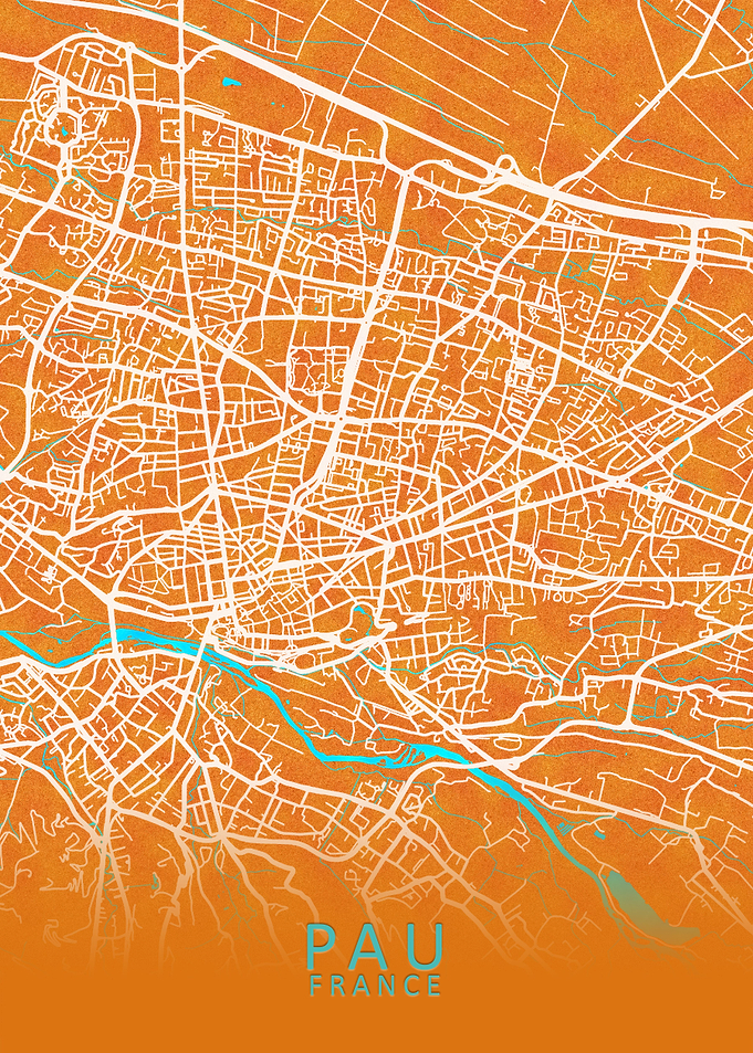 Pau France City Map