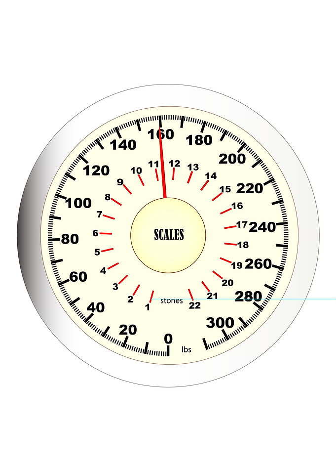 Bathroom Scales Dial