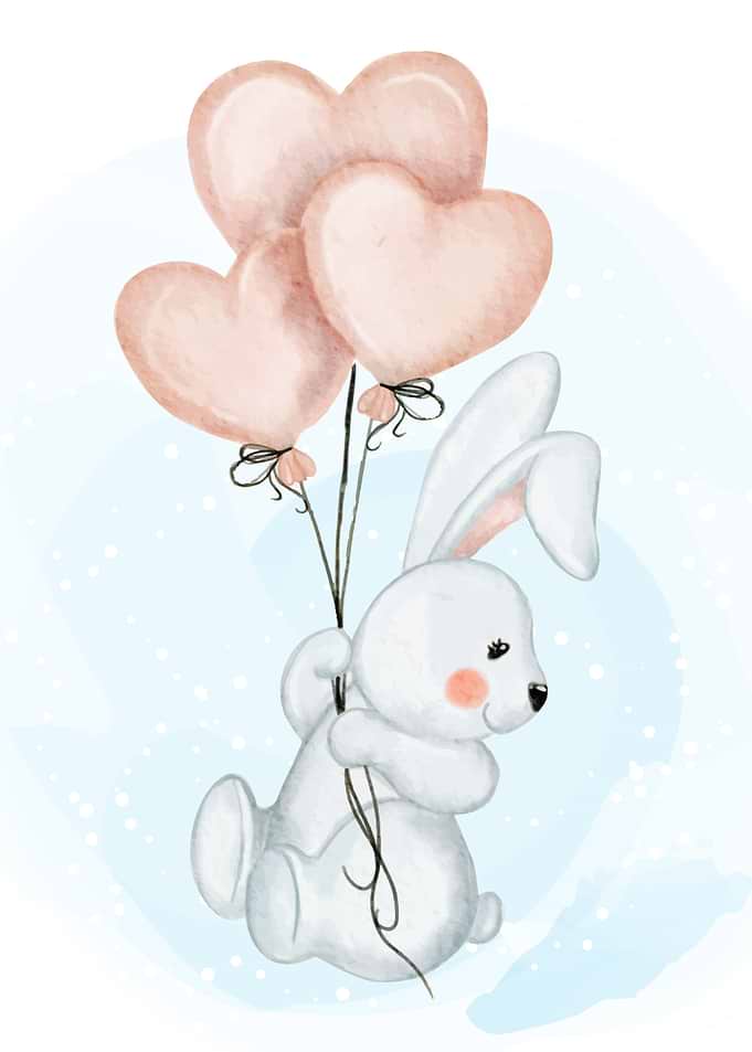baby rabbit
