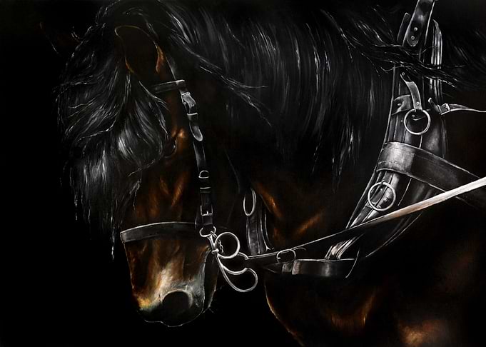 Draught Horse
