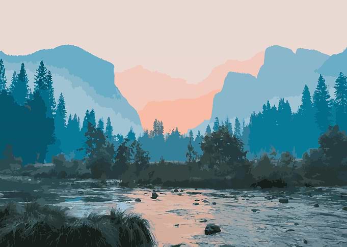 Forest river