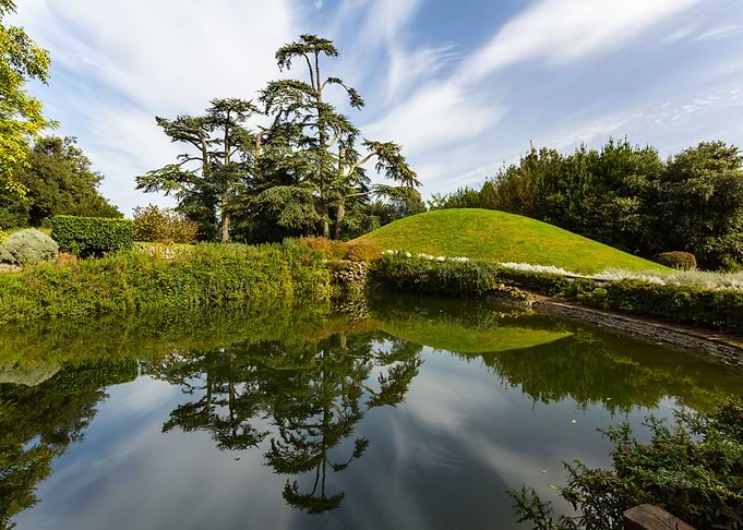 Lovely garden