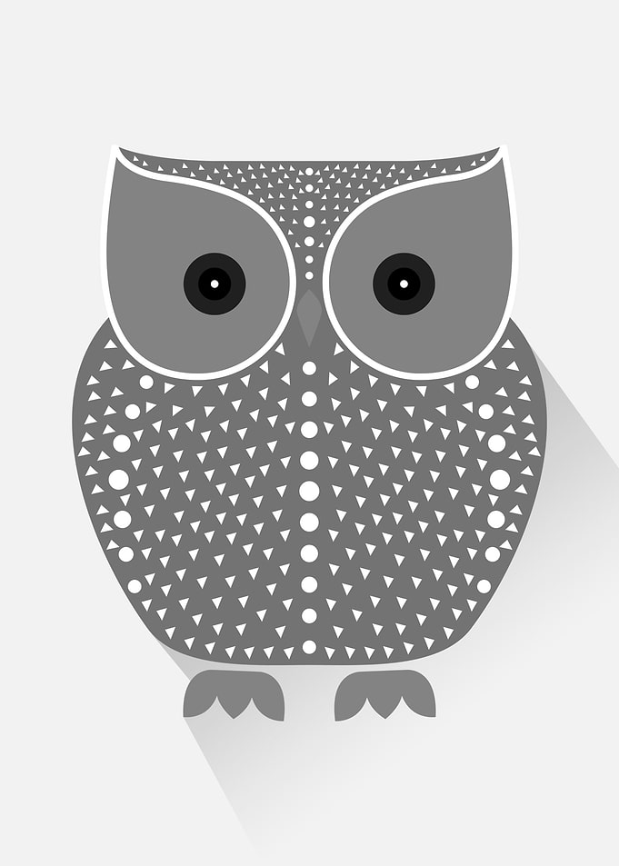 Cute owl in grey