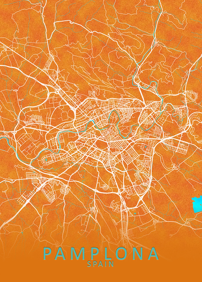 Pamplona Spain City Map