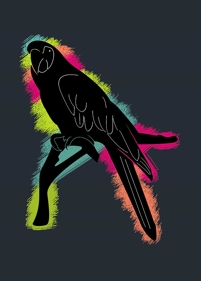 Bird on branch