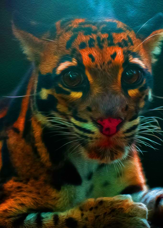 Leopard Cub