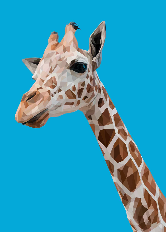 giraffe