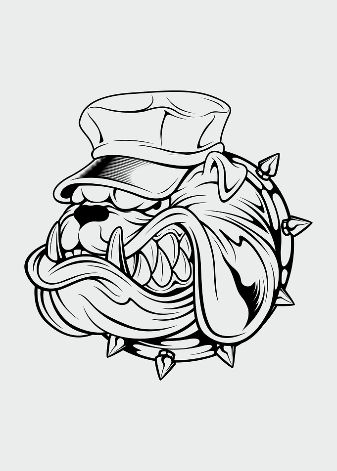 bulldog wearing hat