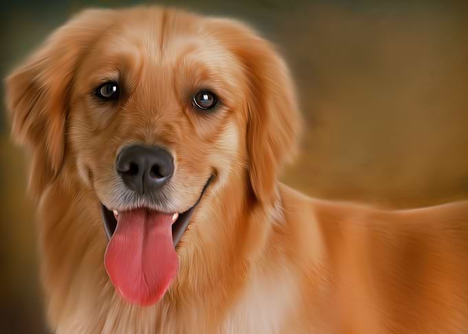 Dog Painting