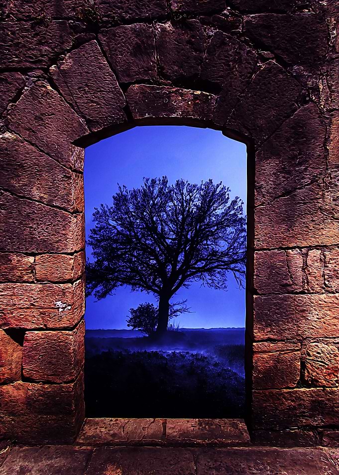 Door arch and tree