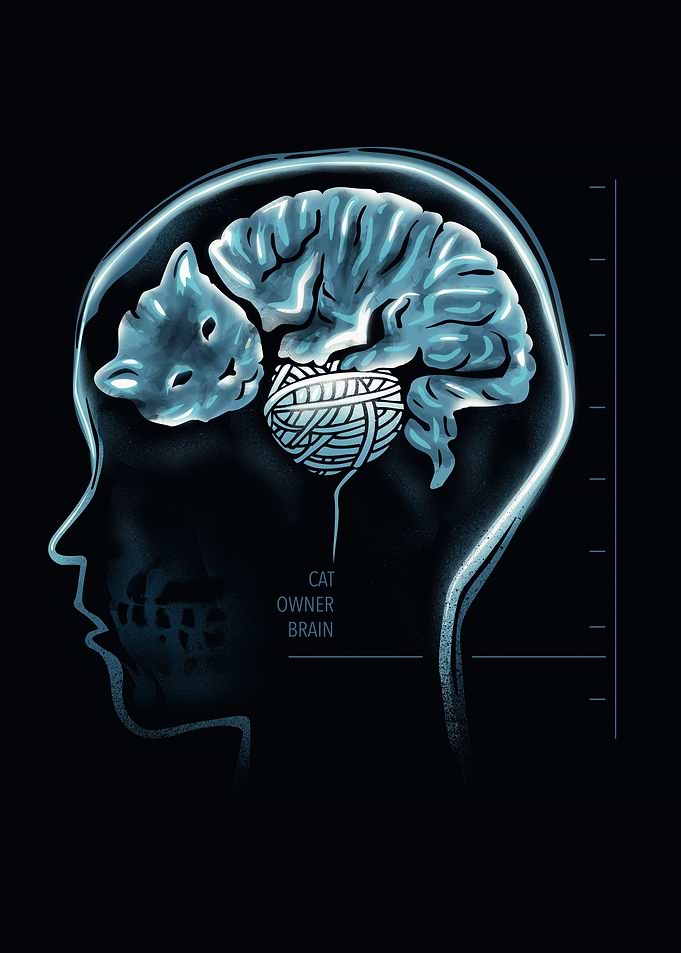 Cat Owner Brain