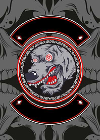 wolf angry animal