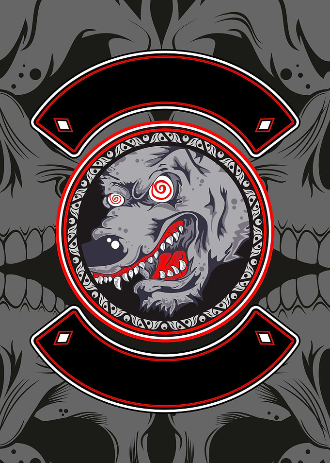 wolf angry animal