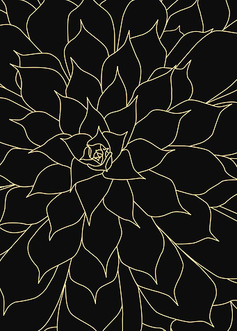 Succulent Illustration