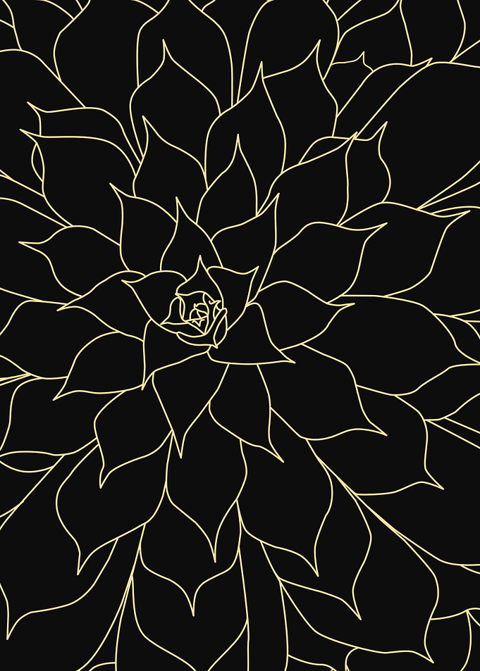 Succulent Illustration