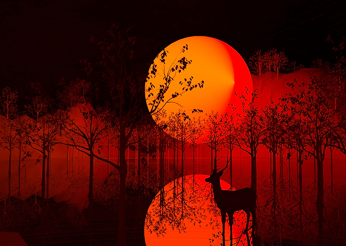 Midnight Sunset