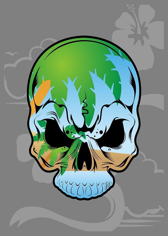Skull Summer and beach