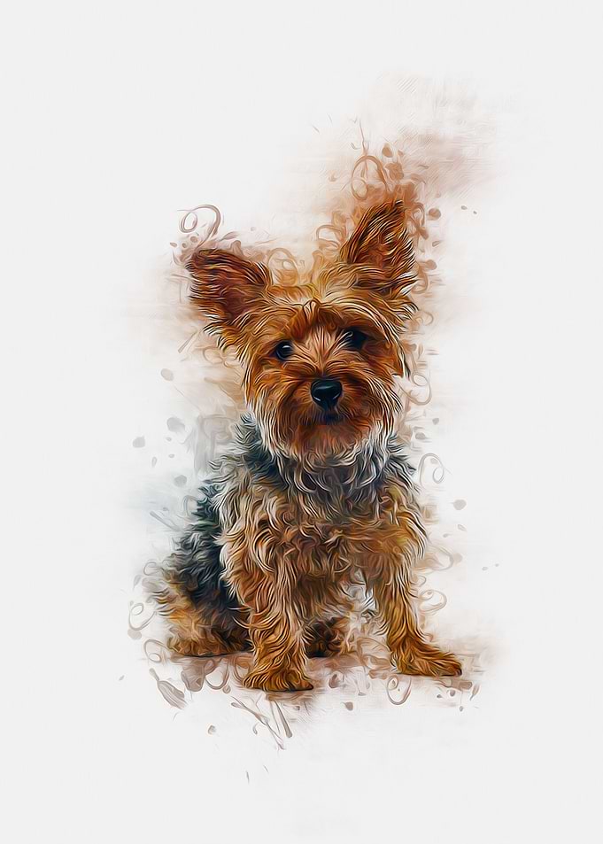 Yorkshire Terrier Art