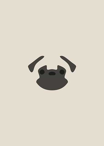 Pug