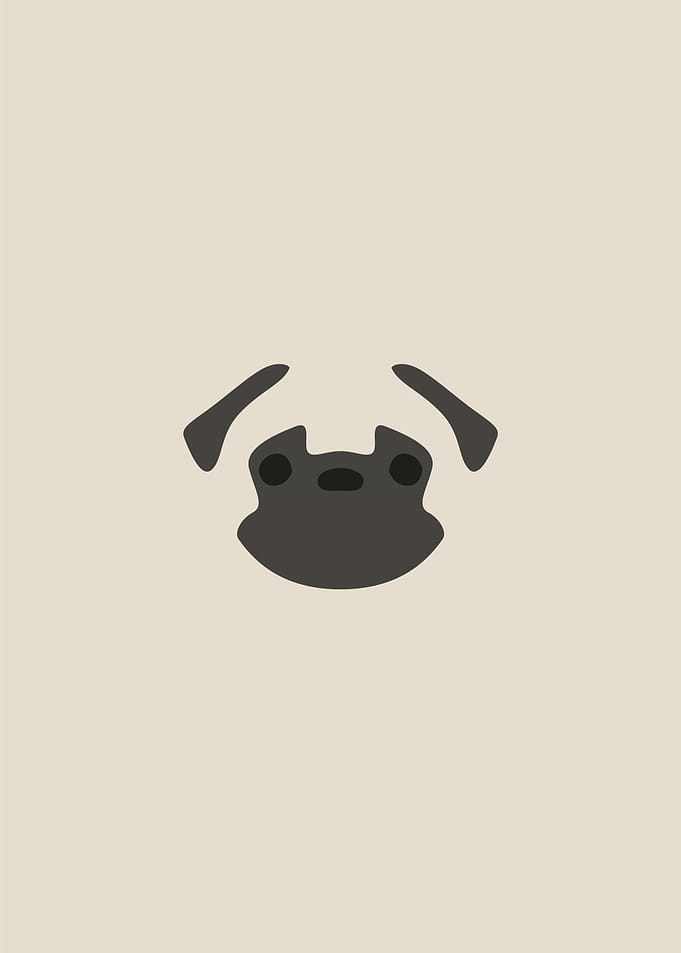 Pug