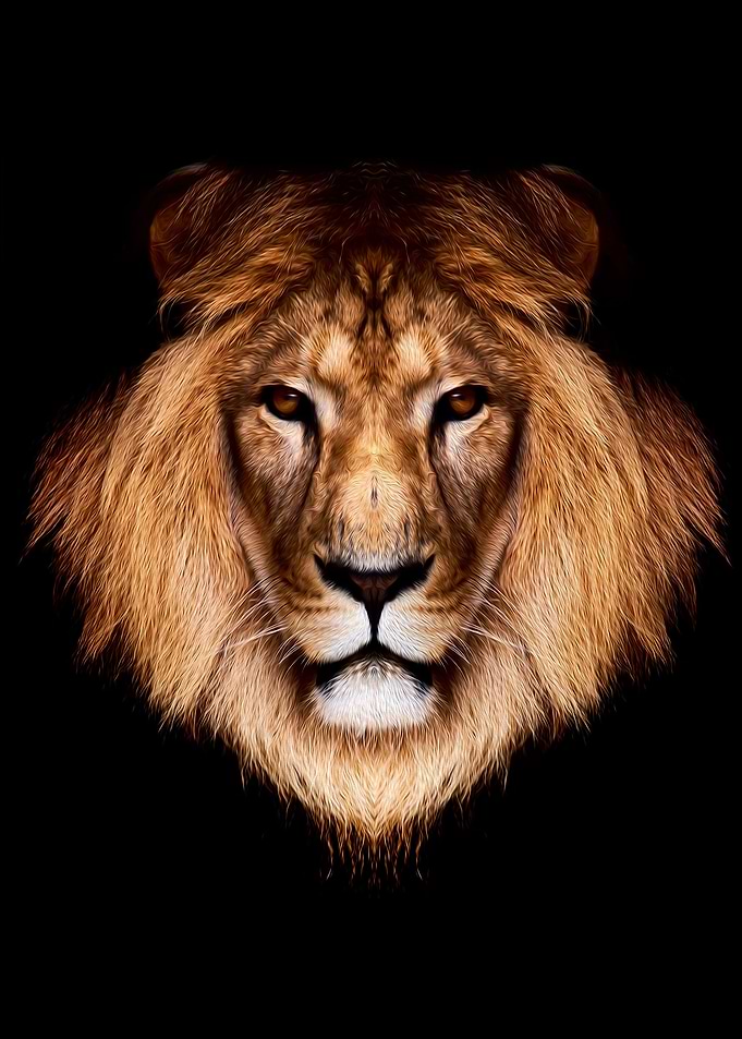 wild lion head painting