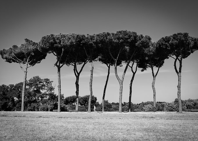 Villa Pamphili in Rome