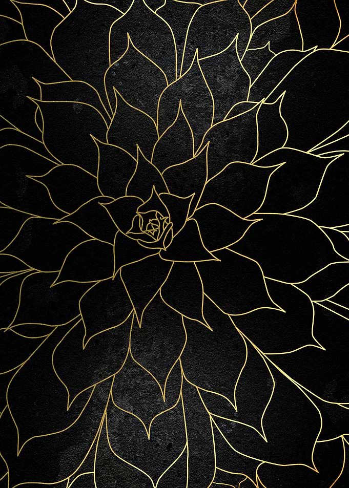 Black and Gold Succulent