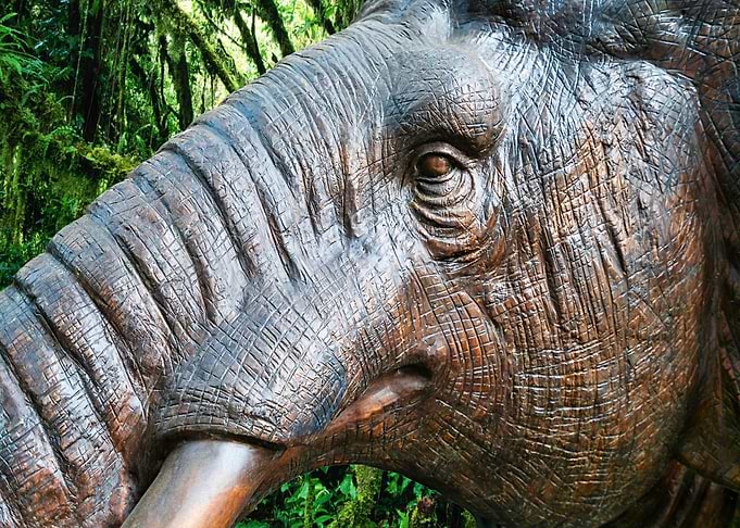 Copper Elephant
