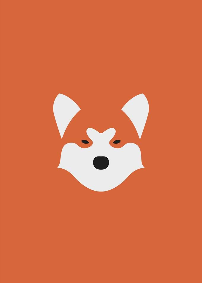 Akita Dog