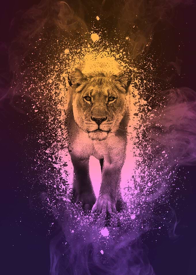 Lion