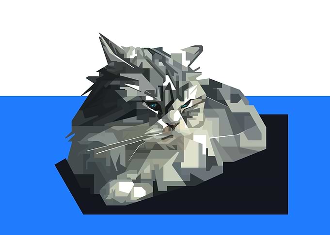 baby cat in vektor