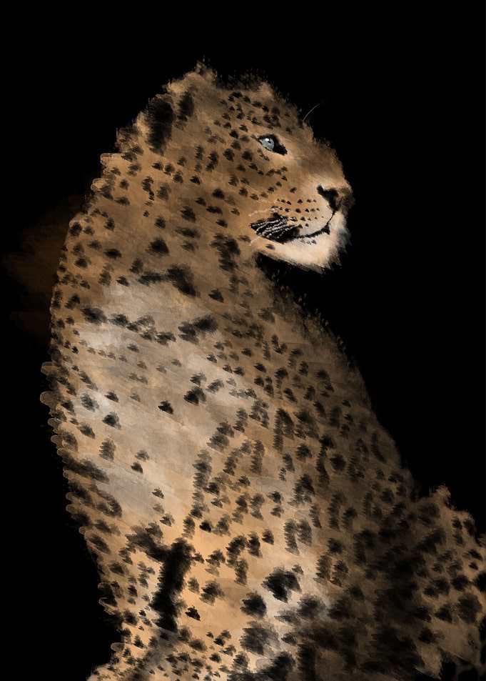 leopard