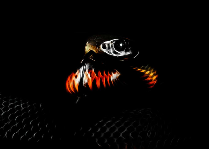 Snake