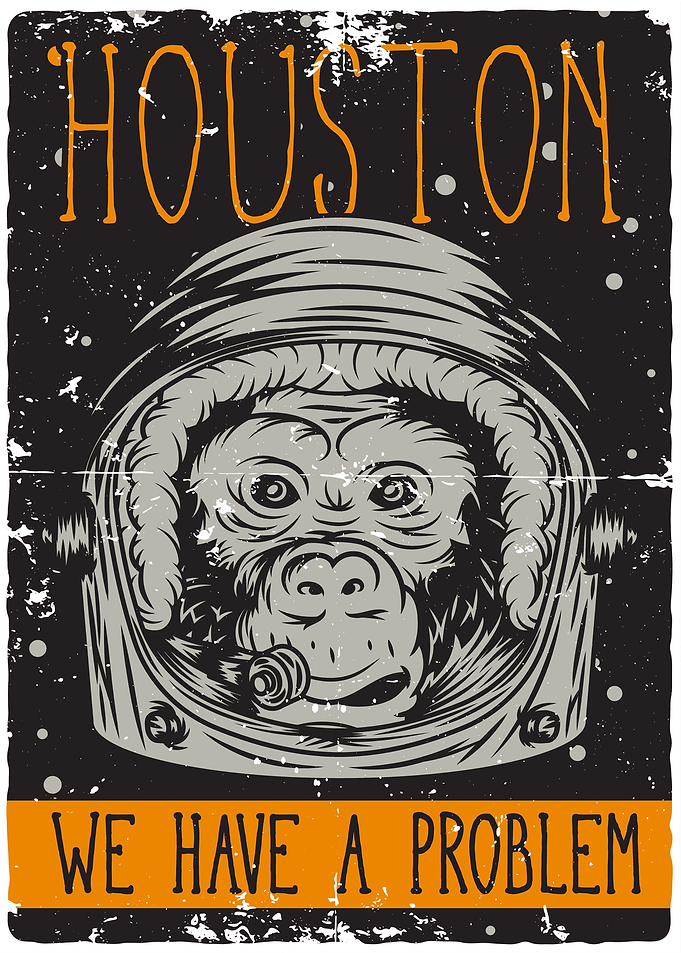 Monkey in space